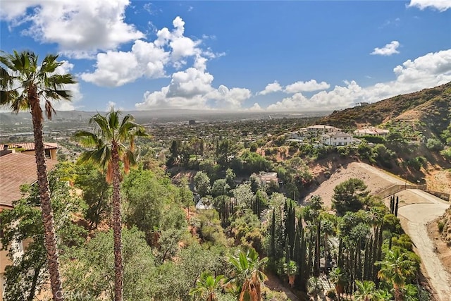 1369 Paseo Redondo, Burbank, CA 91501 - mountain view