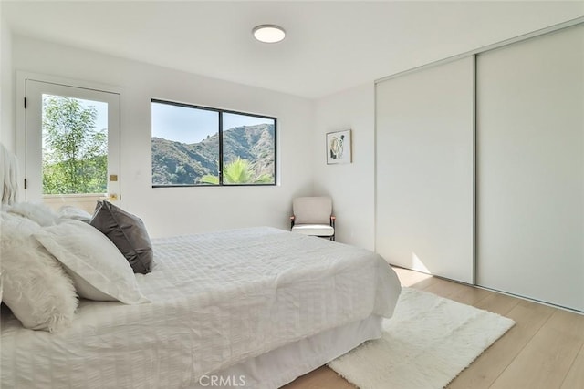 1369 Paseo Redondo, Burbank, CA 91501 - bedroom featuring light wood-style flooring, access to exterior, and a closet