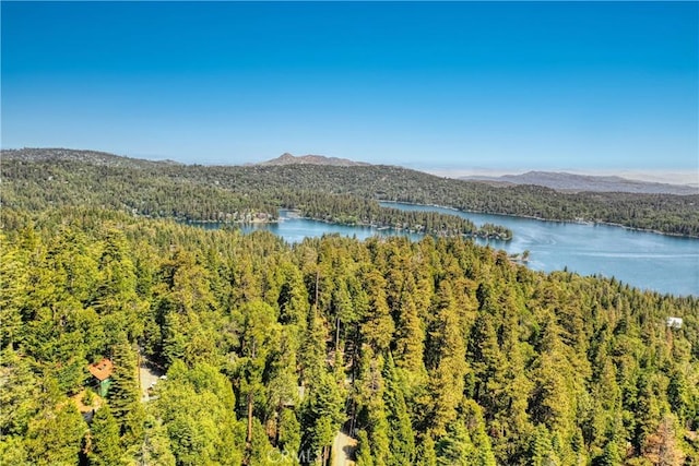 698 W Victoria Ct, Lake Arrowhead, CA 92352 - drone / aerial view of a forest and a water and mountain view