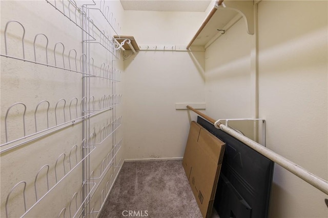 35632 Avocado St, Yucaipa, CA 92399 - walk in closet with carpet floors