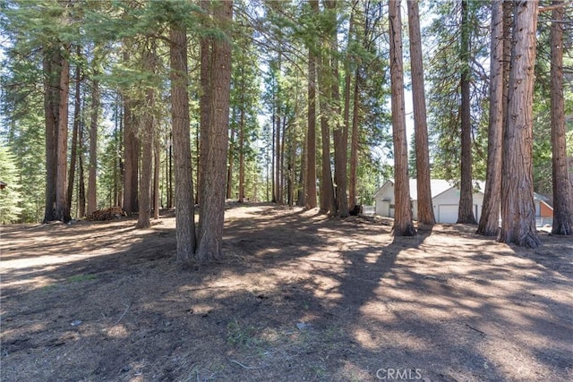 718 E Mountain Ridge Rd, Westwood, CA 96137 - photo 3