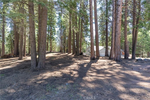 718 E Mountain Ridge Rd, Westwood, CA 96137 - photo 2