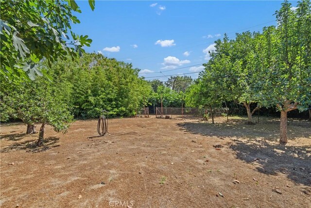 4840 Heleo Ave, Temple City, CA 91780 - view of yard