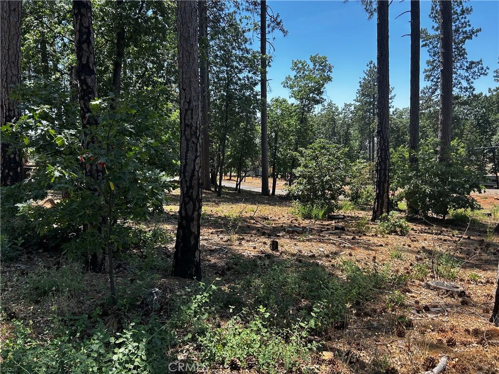 6272 Berkshire, Paradise, CA 95969