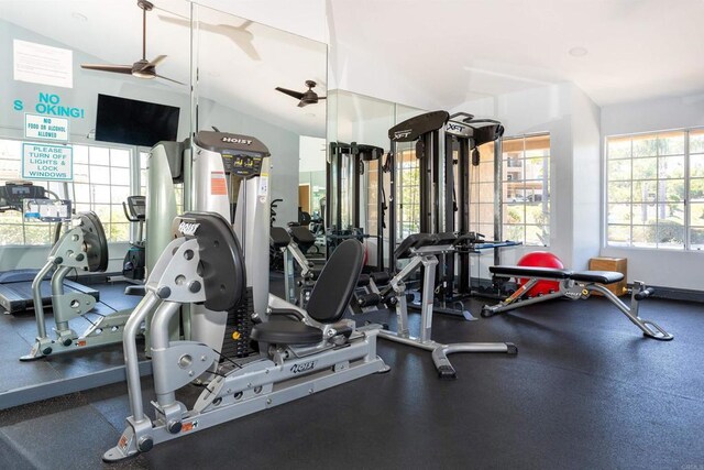 6970 Ballena Way Unit 50, Carlsbad, CA 92009 - photo 39