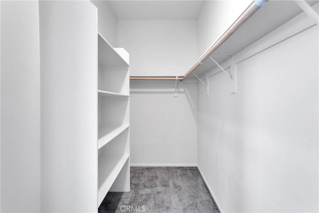 16124 Pablo Ct, Victorville, CA 92395 - spacious closet featuring carpet floors