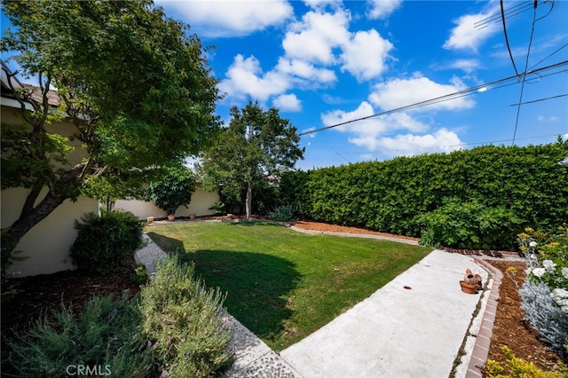 209 S Homerest Ave, West Covina, CA 91791 - view of fenced backyard