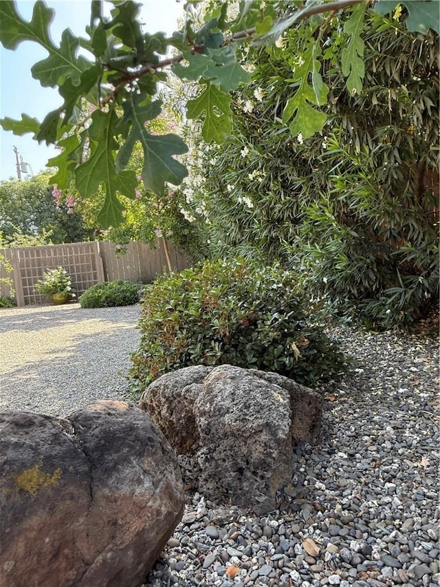 315 W 6th Ave, Chico, CA 95926 - view of yard