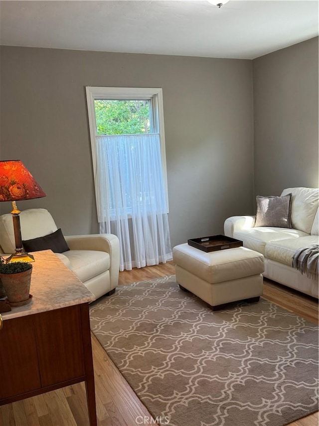 315 W 6th Ave, Chico, CA 95926 - living room featuring wood finished floors