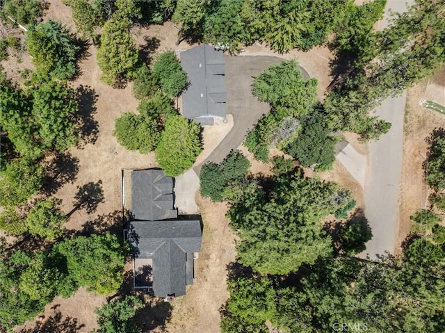 36232 Finegold Creek Dr, North Fork, CA 93643 - photo 39