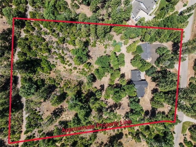 36232 Finegold Creek Dr, North Fork, CA 93643 - photo 4