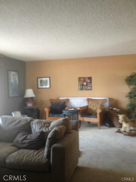 67190 Dillon Rd, Desert Hot Springs, CA 92240 - living room with carpet flooring and a textured ceiling