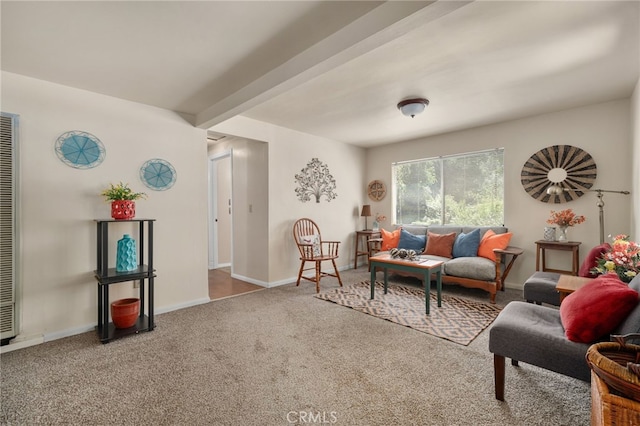 6435 Norwood Ave, Riverside, CA 92505 - living room with carpet, beamed ceiling, and a heating unit