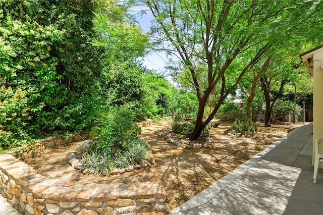 6435 Norwood Ave, Riverside, CA 92505 - view of yard with a patio area