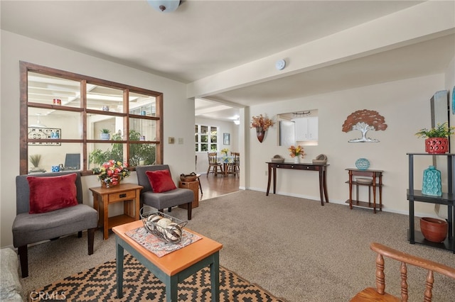 6435 Norwood Ave, Riverside, CA 92505 - carpeted living room featuring baseboards
