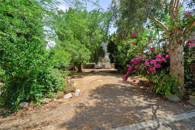 6435 Norwood Ave, Riverside, CA 92505 - view of yard