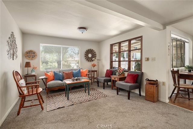6435 Norwood Ave, Riverside, CA 92505 - carpeted living area featuring baseboards