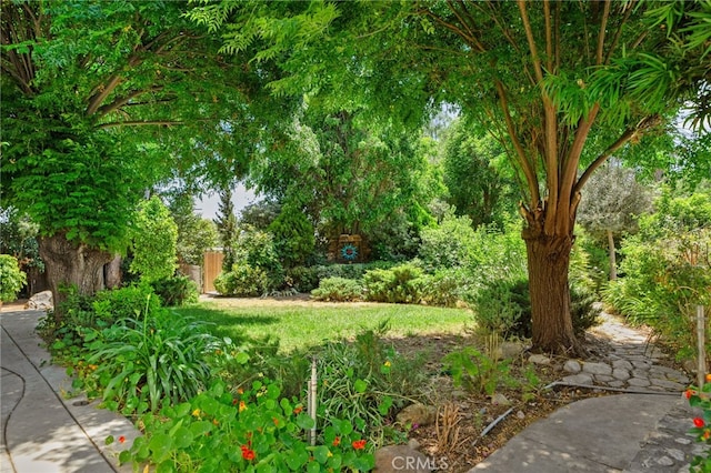 6435 Norwood Ave, Riverside, CA 92505 - view of yard