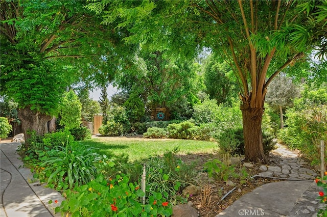 6435 Norwood Ave, Riverside, CA 92505 - view of yard