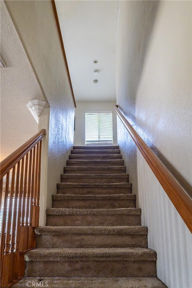 15602 Vista Del Mar St, Moreno Valley, CA 92555 - photo 18