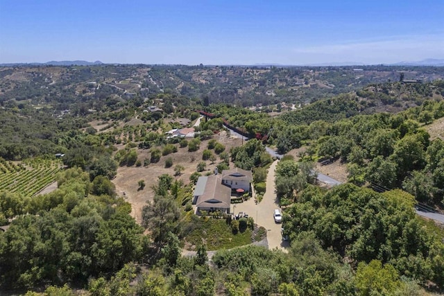 3237 Canonita Dr, Fallbrook, CA 92028 - aerial view of property's location