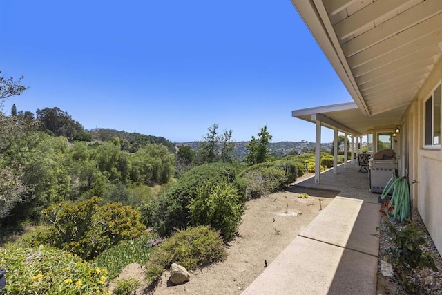 3237 Canonita Dr, Fallbrook, CA 92028 - view of yard