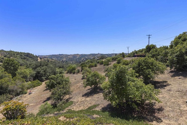 3237 Canonita Dr, Fallbrook, CA 92028 - view of mountain background