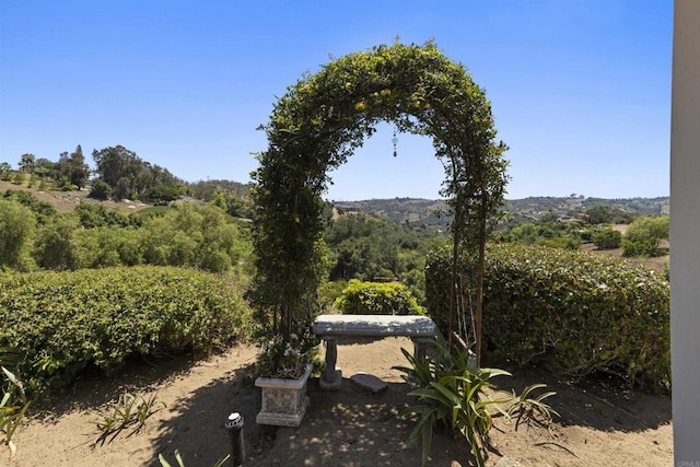 3237 Canonita Dr, Fallbrook, CA 92028 - view of yard