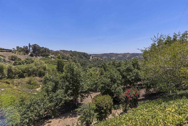 3237 Canonita Dr, Fallbrook, CA 92028 - view of mountain backdrop
