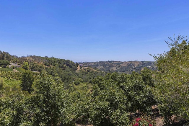 3237 Canonita Dr, Fallbrook, CA 92028 - view of mountain backdrop with a forest