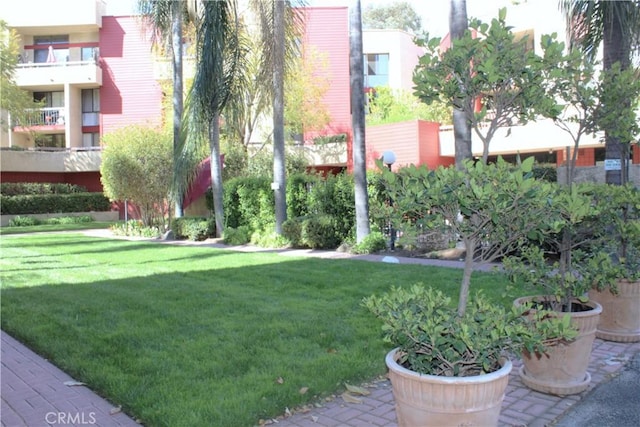 3961 Via Marisol Unit 233, Los Angeles, CA 90042 - view of green lawn