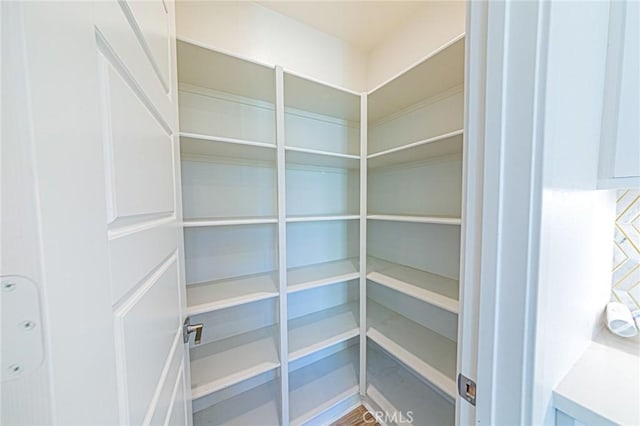27505 Illumination Ct, Valencia, CA 91381 - view of storage area