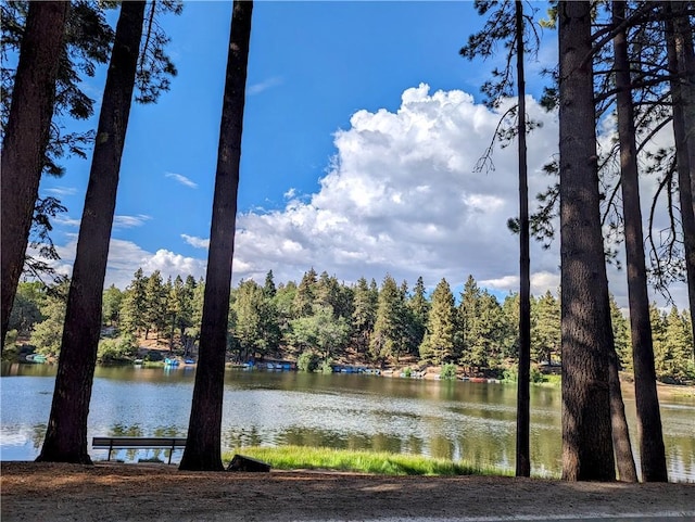33712 Green Valley Lake Rd, Green Valley Lake, CA 92341 - water view featuring a heavily wooded area