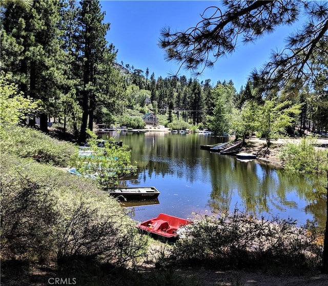 33712 Green Valley Lake Rd, Green Valley Lake, CA 92341 - dock featuring a view of trees and a water view