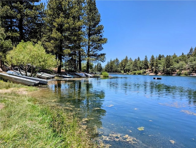 33712 Green Valley Lake Rd, Green Valley Lake, CA 92341 - water view with a forest