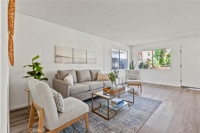 244 Santa Fe Ave, Pismo Beach, CA 93449 - living room with a textured ceiling and wood finished floors