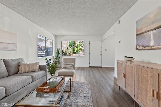 244 Santa Fe Ave, Pismo Beach, CA 93449 - living area featuring wood finished floors and a textured ceiling