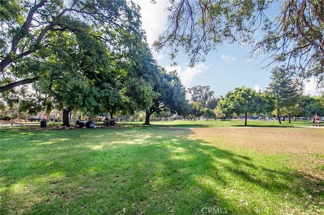 11100 Acama St Unit 16, Studio City, CA 91602 - photo 37
