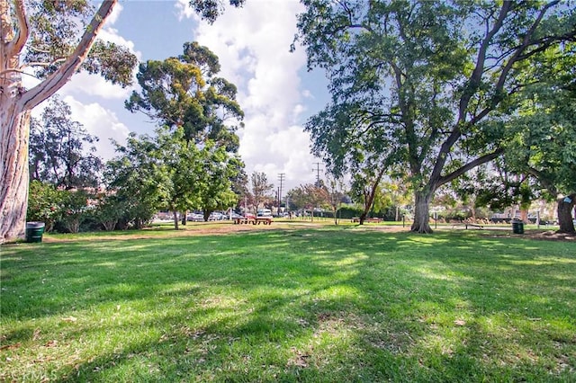 11100 Acama St Unit 16, Studio City, CA 91602 - photo 36