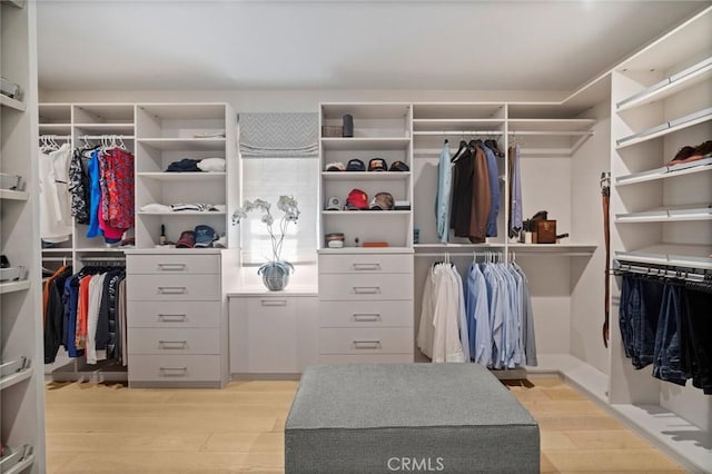 16 Seawatch, Newport Coast, CA 92657 - walk in closet with light wood-style flooring