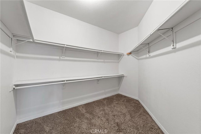44051 Sheldon Ct, Temecula, CA 92592 - walk in closet with carpet flooring