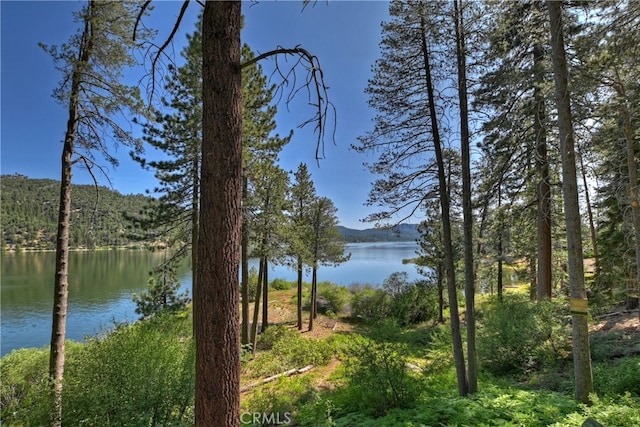 51 Big Bear Trl, Big Bear Lake, CA 92315 - photo 51