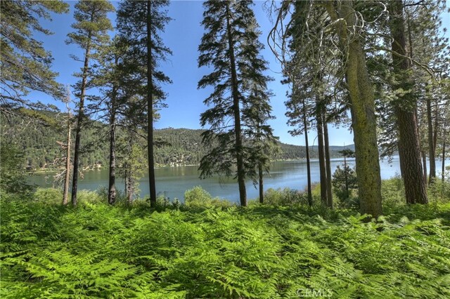 51 Big Bear Trl, Big Bear Lake, CA 92315 - photo 52