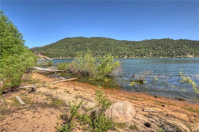 51 Big Bear Trl, Big Bear Lake, CA 92315 - photo 56