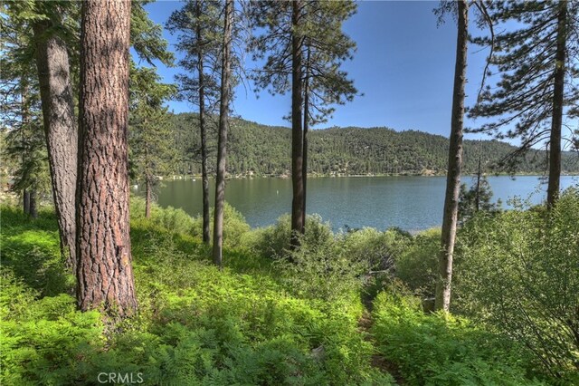 51 Big Bear Trl, Big Bear Lake, CA 92315 - photo 47