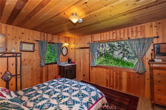 51 Big Bear Trl, Big Bear Lake, CA 92315 - photo 37