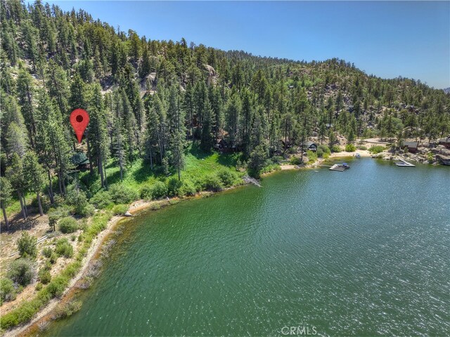 51 Big Bear Trl, Big Bear Lake, CA 92315 - photo 43