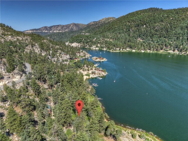 51 Big Bear Trl, Big Bear Lake, CA 92315 - photo 42