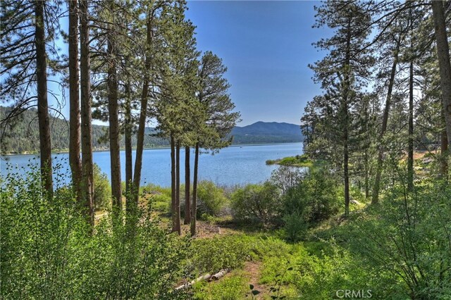 51 Big Bear Trl, Big Bear Lake, CA 92315 - photo 29