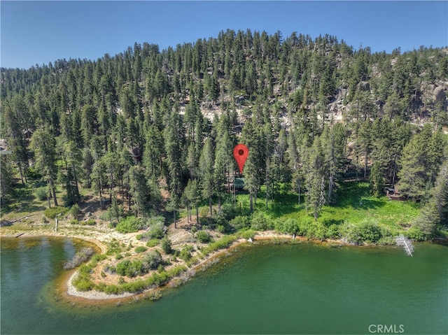 51 Big Bear Trl, Big Bear Lake, CA 92315 - photo 4